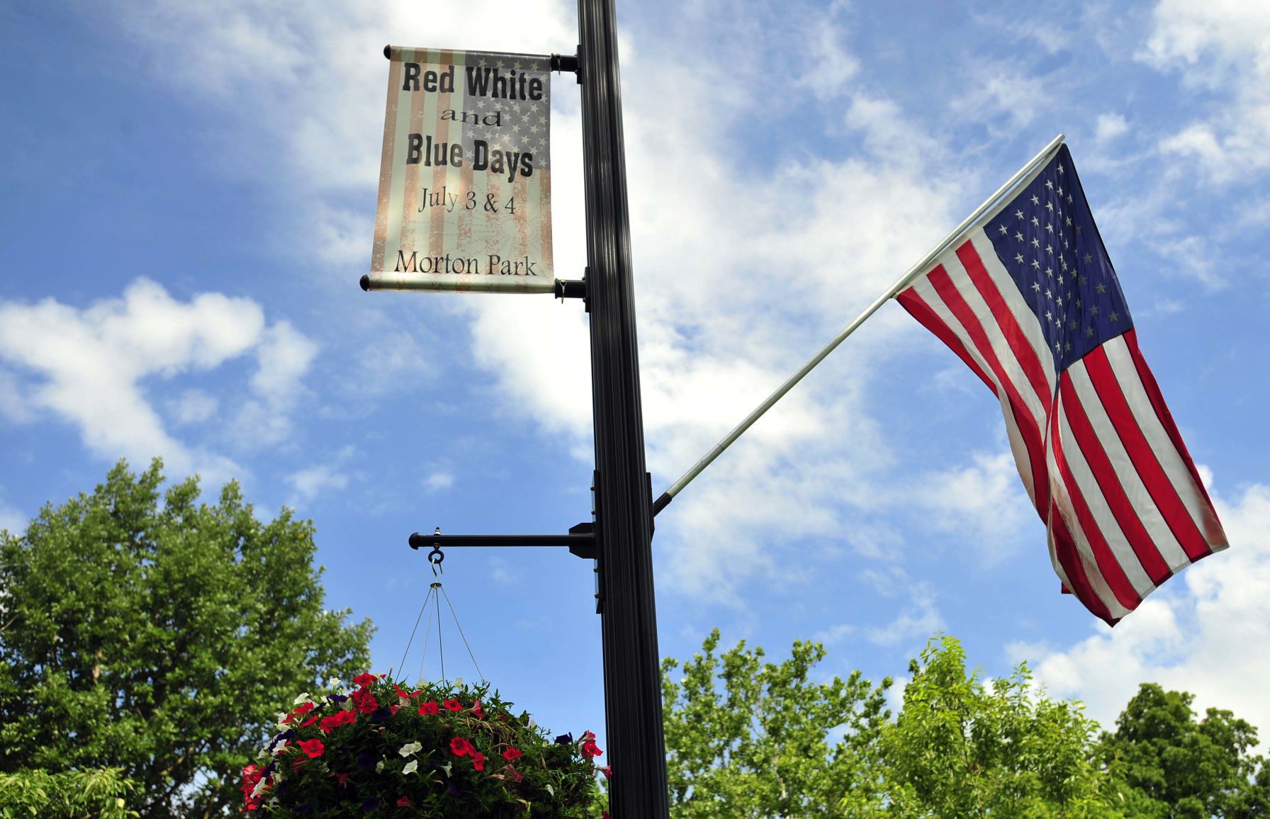 Red, White and Blue Days 2019 18 (07/03/19)